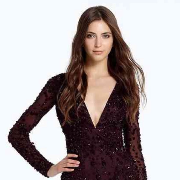 Monique Lhuillier Dresses & Skirts - Monique Lhuillier V-Neck all over embroidered long sleeves dress